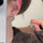 Heart Laef Drop Earring