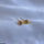 Round Boll Tops Pair
