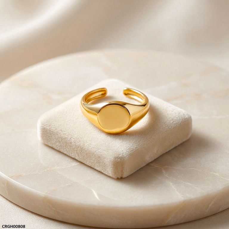 Stainless Steel Oval Signet Ring Adjustable