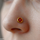 Round Clover Flower Stainless Steel Nose Pin