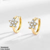 Star Ear Hoops Pair