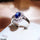 Oval Step Adjustable Ring