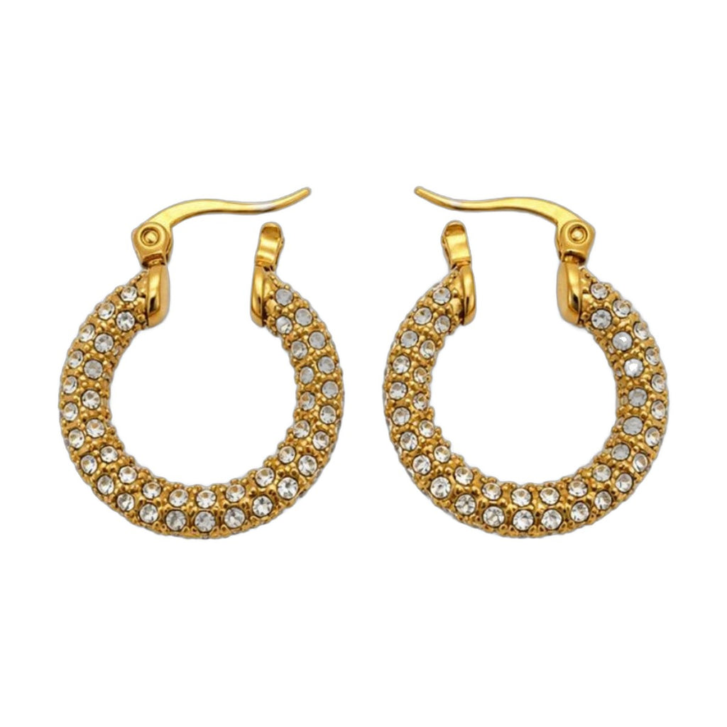 Stainless Steel 18k Aria Glow Earrings