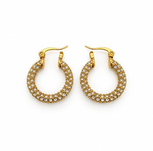 Stainless Steel 18k Aria Glow Earrings