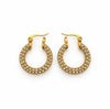 Stainless Steel 18k Aria Glow Earrings