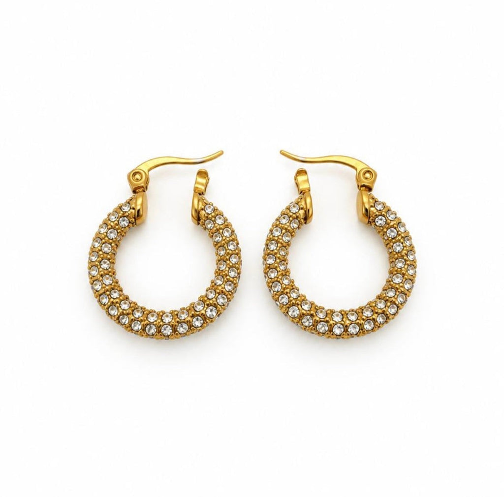 Stainless Steel 18k Aria Glow Earrings