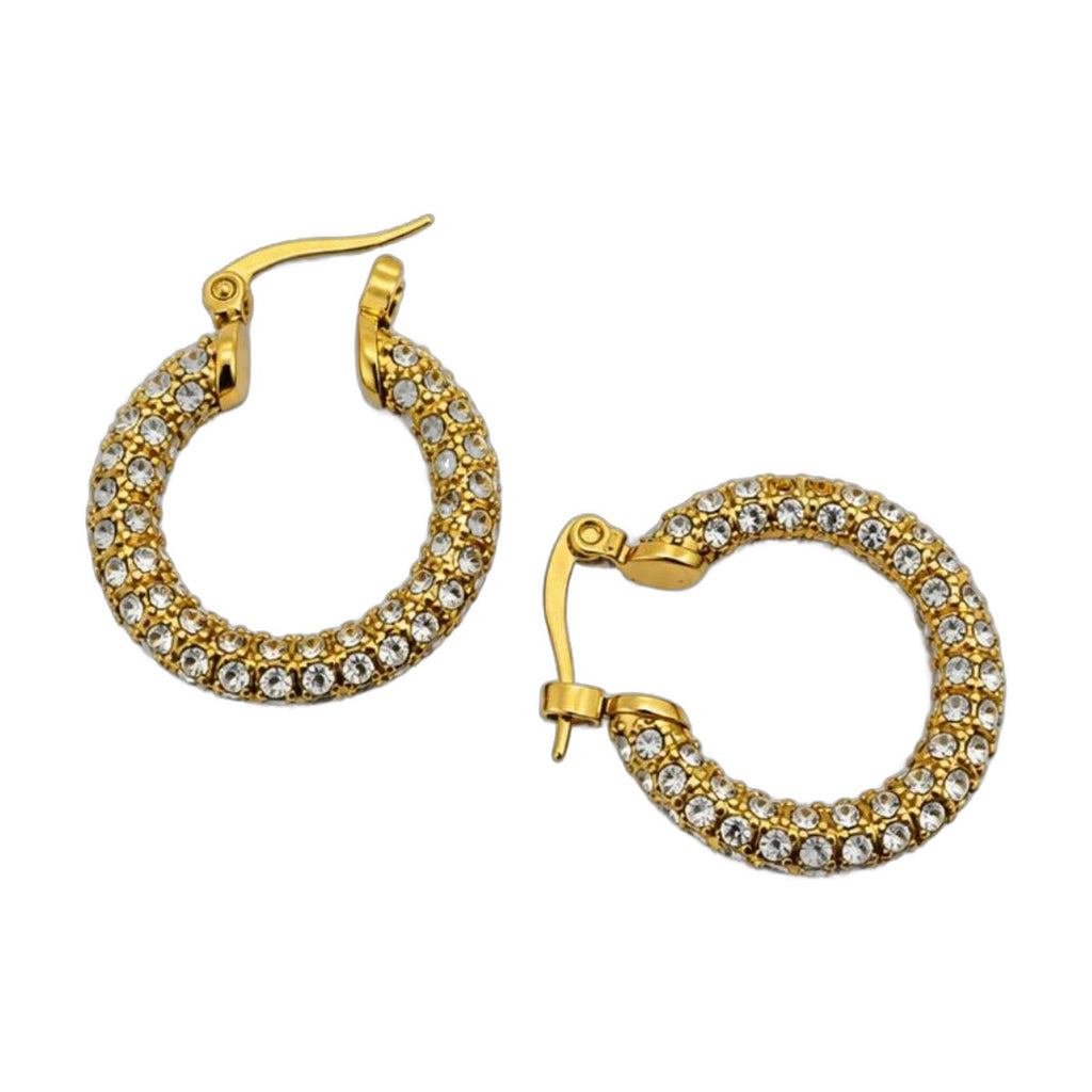 Stainless Steel 18k Aria Glow Earrings
