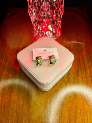 Stainless Steel 18k Nova Glow Earrings
