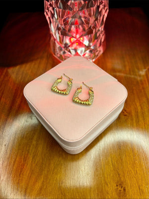 Stainless Steel 18k Zircon Gold Hoops